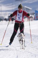 Lenk 2013